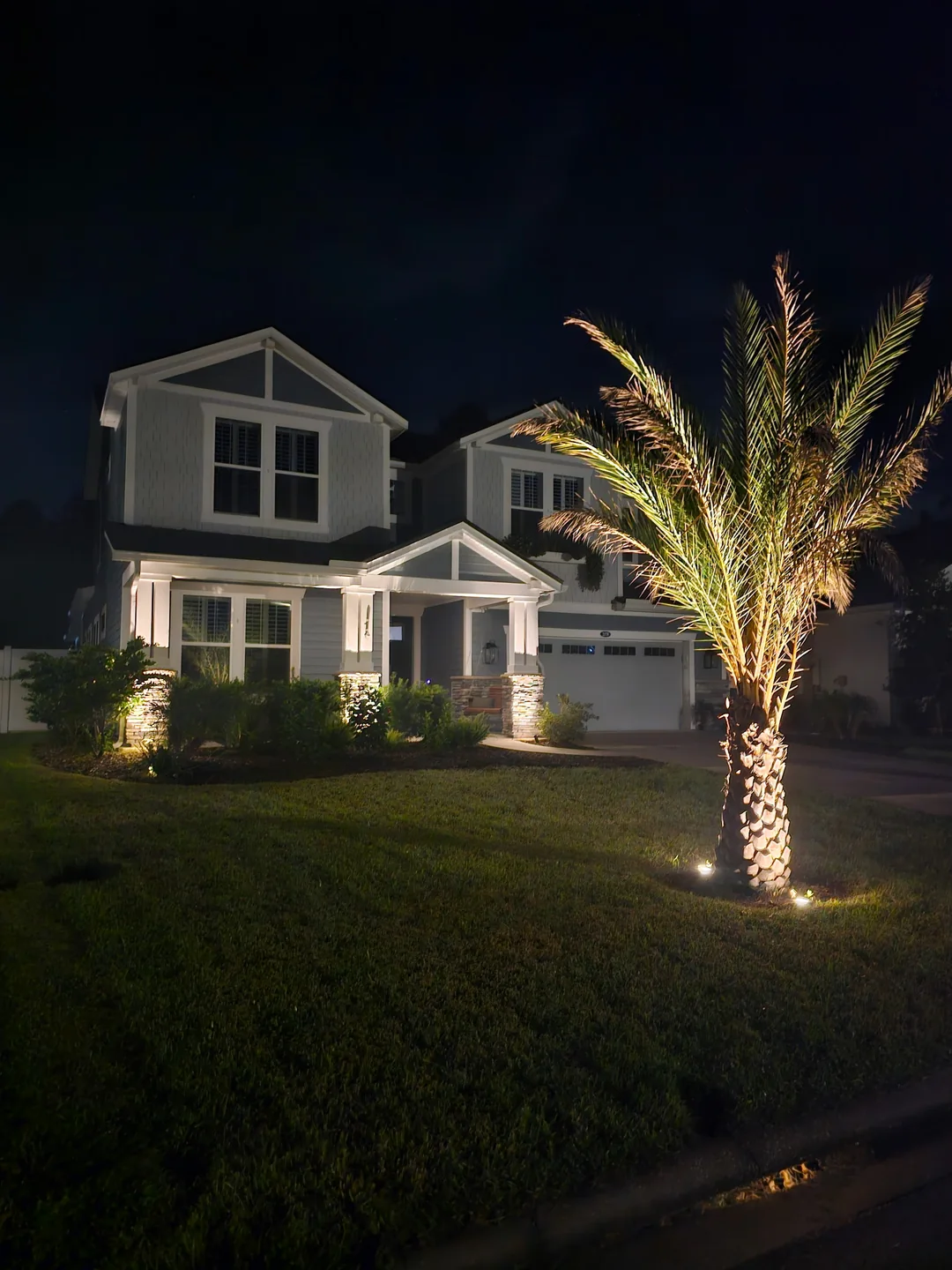An uplit palm and the house front after dark